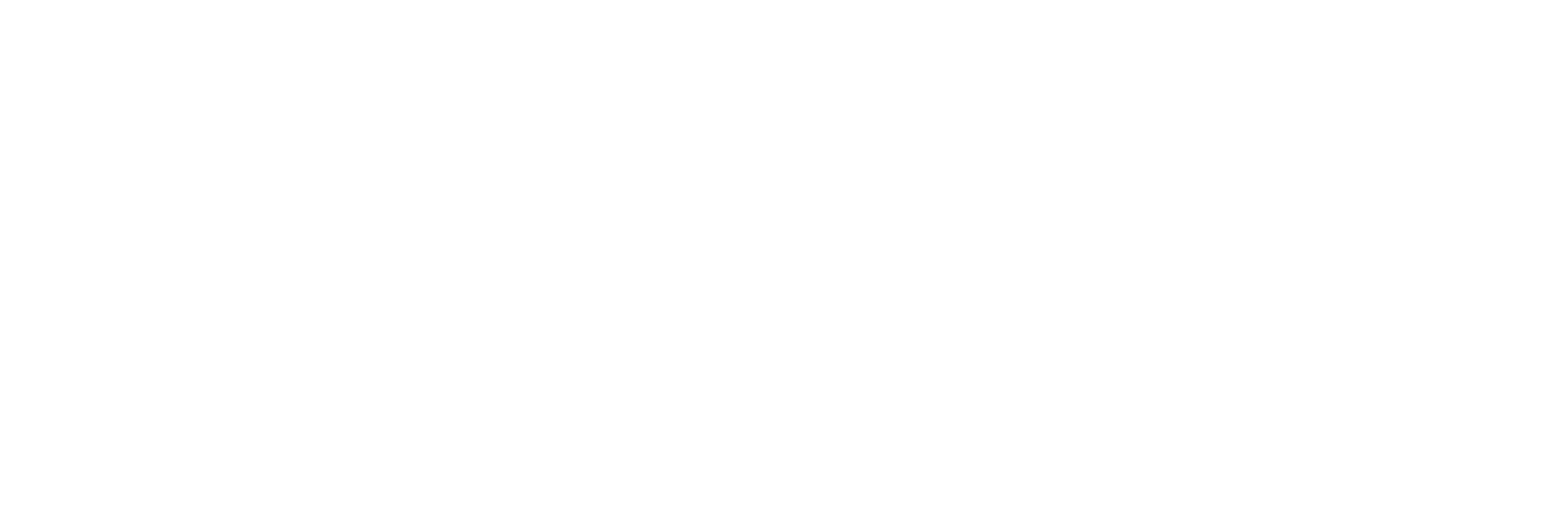 Kartwheel Consulting